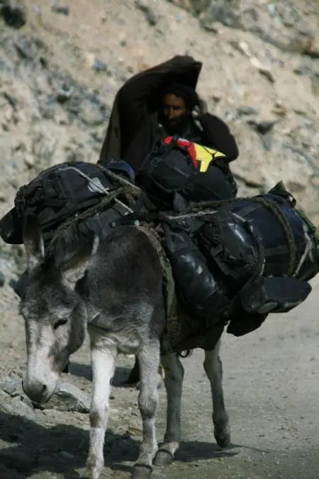 babusar