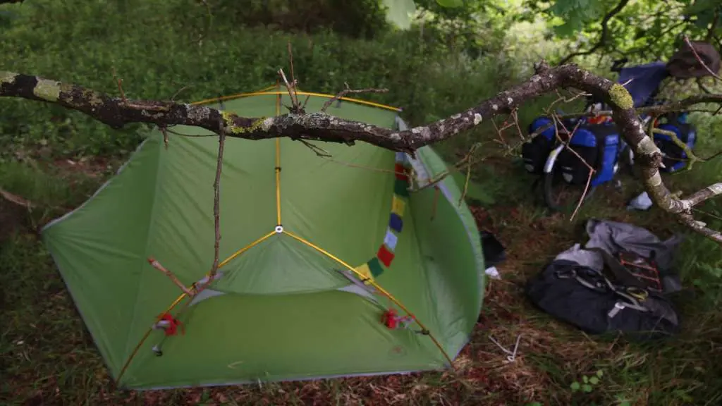 tent-tree