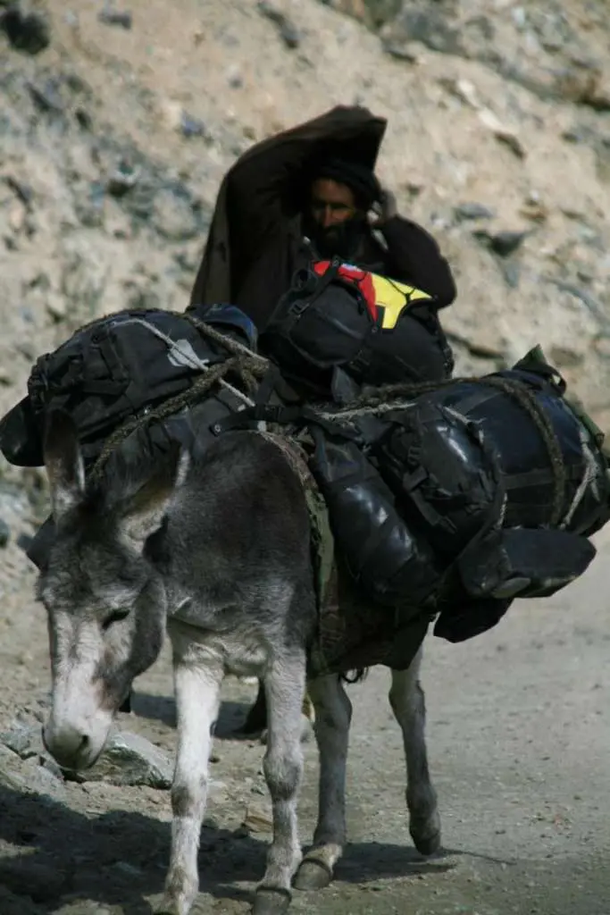 Alforjas para burros inteligentes