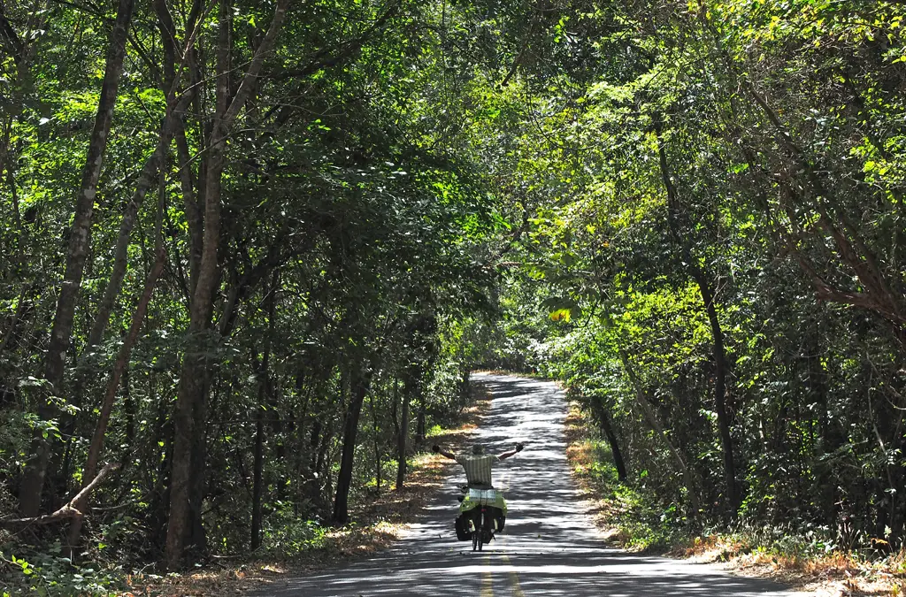 Pedaleando en un bosque tupido de Costa Rica