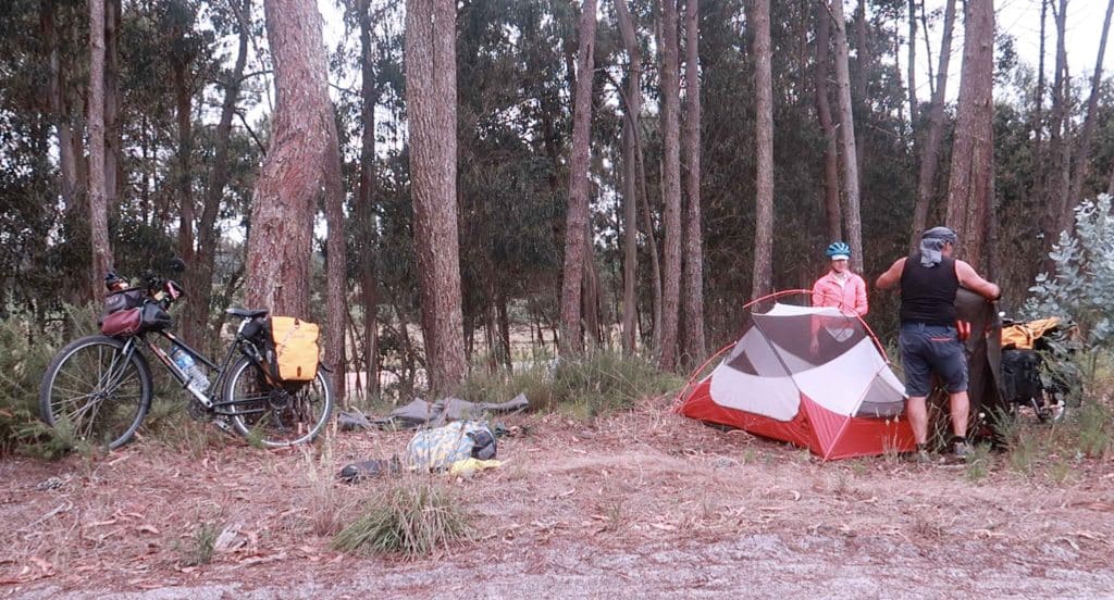 camping bosque